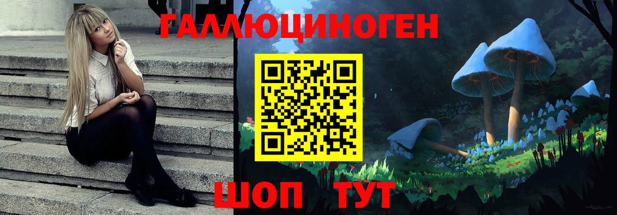 Псилоцибиновые грибы прущие грибы Сыктывкар