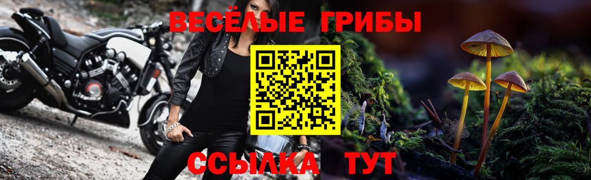 Сыктывкар  Галлюциногенные грибы Magic Shrooms  наркота  Вход с VPN 